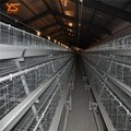 Chinese manufacturer automatic chicken layer cage for sale in philippines 1