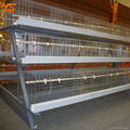 Advanced design chicken broiler cages