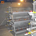 Cost-effective poultry farm broiler