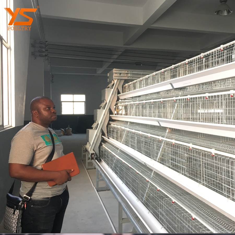 chicken cage Kenya YISHUN (China Manufacturer) Poultry & Livestock