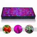 Full spectrum veg/bloom switch led grow light 1200W 3