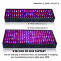 Full spectrum veg/bloom switch led grow light 1200W