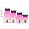 Dual spectrum cfl 700W/1200W  grow light LED 4