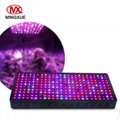 China Market CE RoHS Approved Full Spectrum COB LED Grow Light 5