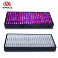 China Market CE RoHS Approved Full Spectrum COB LED Grow Light 4