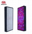 China Market CE RoHS Approved Full Spectrum COB LED Grow Light 3