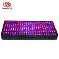 China Market CE RoHS Approved Full Spectrum COB LED Grow Light 2