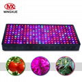 China Market CE RoHS Approved Full Spectrum COB LED Grow Light 1