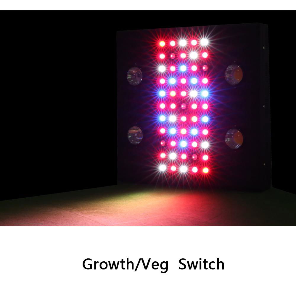 700W Farming Application LED Grow Light 2