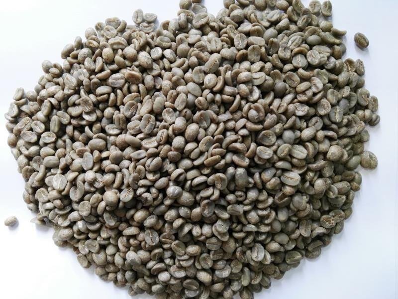 Yunnan arabica green coffee beans 