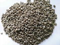Yunnan arabica green coffee beans 
