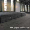 Competitive price hot-dipped galvanized