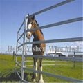 Hot sale galvanized metal horse livestock fencing 2