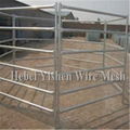 Hot sale galvanized metal horse