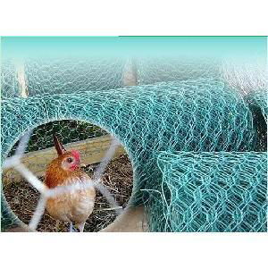 Hexagonal chicken wire fence for sale