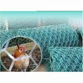 Hexagonal chicken wire fence for sale 1