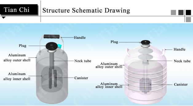 TIANCHI LN2 Cryogenic Container 80 Liter Manufacturer In China 2