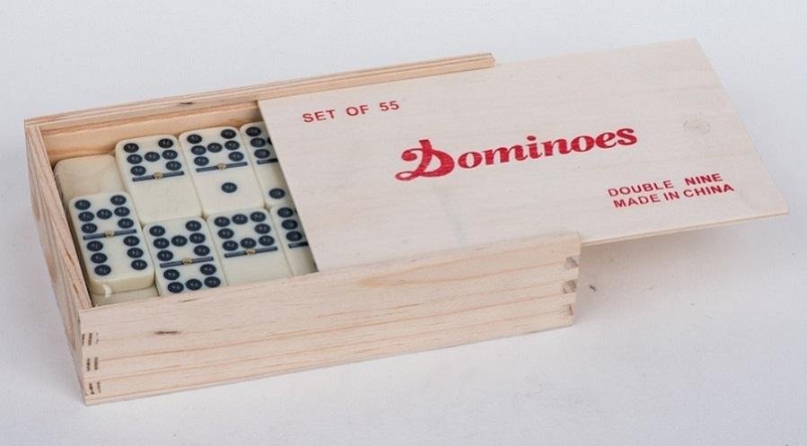 Promotion Gift Toys Plastic Double 9 Dominoes 3