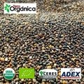 Quinoa (organic & conventional)