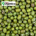 Mung Beans