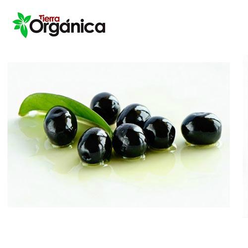 Black olive