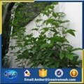 stainless steel cable mesh for green wall system