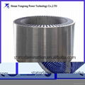 High Voltage Electric Motor Stator for Asynchronous Motors 4