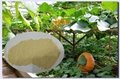 Compound Organic Fertilizer 52% Amino Acid Powder No Caking PH 8-9 4