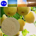 Factory Supply Amino Acid Liquid Fertilizer 30% Free AA 35% 3