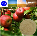 Agriculture Organic Fertilizer Fe Amino Acid Chelate Iron 4
