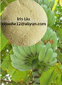  Banana FertilizerOrganic Calcium Boron Amino Acid Chelated Powder  2