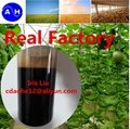 Amino Acid Agriculture 4