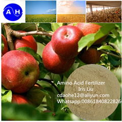 Amino Acid Fertilizer Chelate Magnesium(Mg) Foliar Application