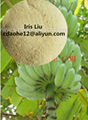 Amino Acid Fertilizer Chelate Magnesium(Mg) Foliar Application 4