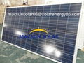 250W Solar Panel with steady quality of