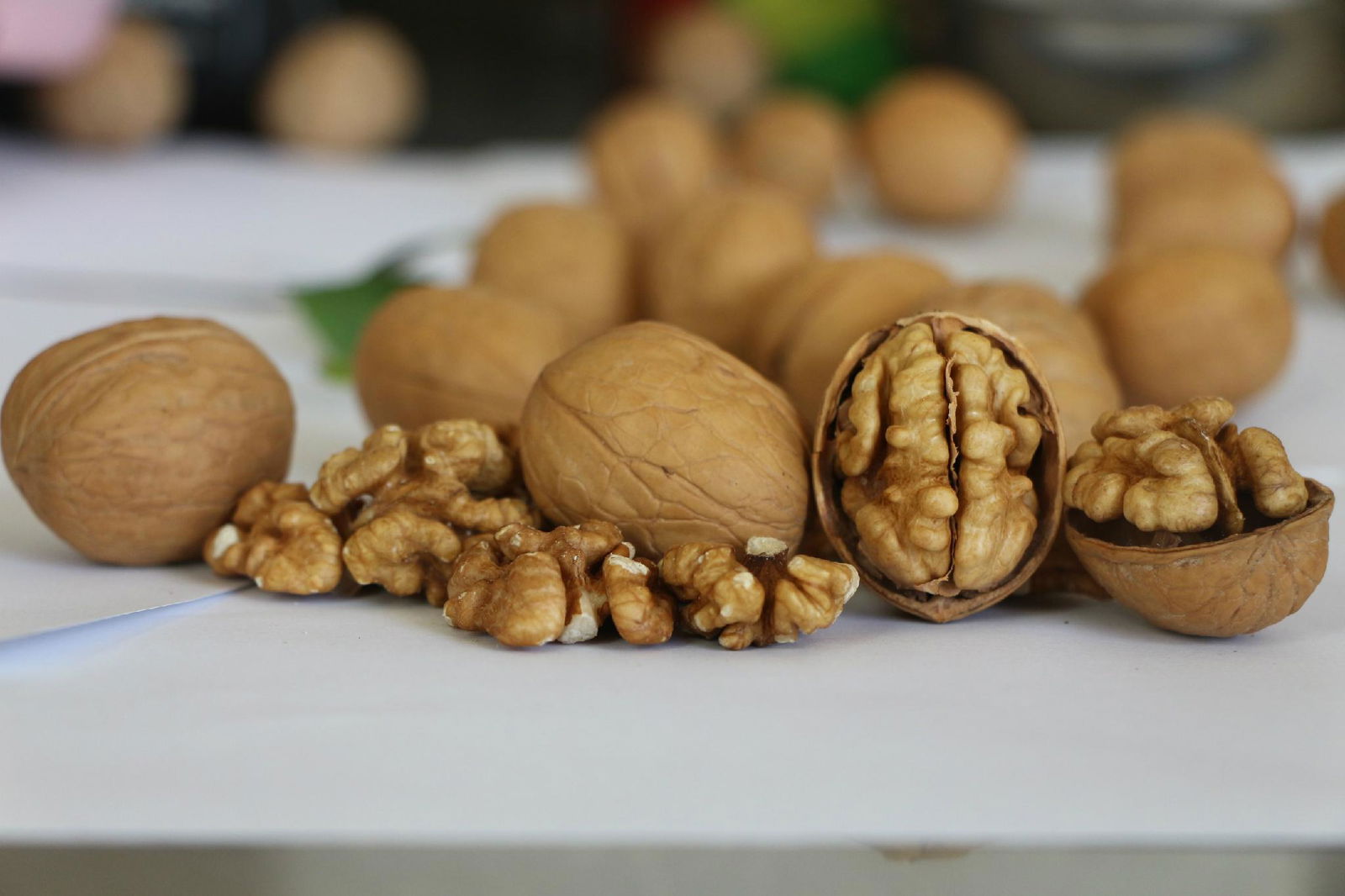 Walnut in shell