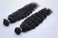 Standard Double Drawn Remy Weft Hair