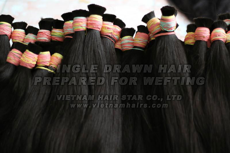 vietnamese unprocessed raw hair and bulk hair
