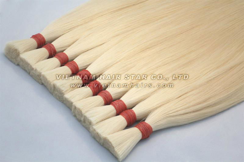 vietnamese unprocessed raw hair and bulk hair 2