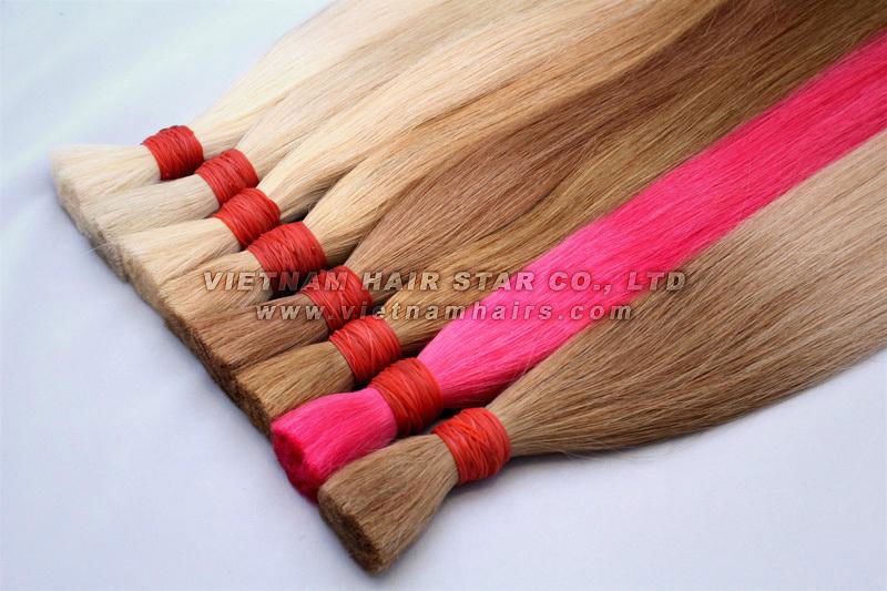 vietnamese unprocessed raw hair and bulk hair 3