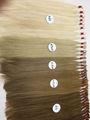 Raw and Bulk Remy hair with full color
