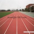 Prefabricated Rubber Running Track Rubber Sport Surface Roll Manufacturer 3