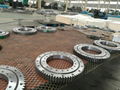 Thrust Ball Bearing 5