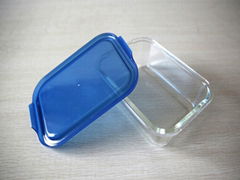 High borosilicate glass food container