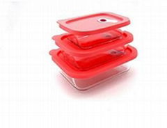 glass food container with silicone lid