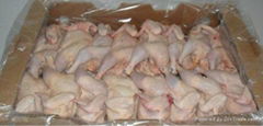 WHOLE HALAL FROZEN CHICKEN