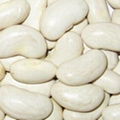 Large white kidney beans