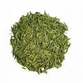 Chinese Longjing Green Tea 5