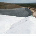 HDPE Geomembrane Sheet Liner for shrimp prawn farming 3