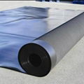 HDPE Geomembrane Sheet Liner for shrimp prawn farming 4